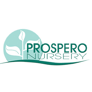 Prospero