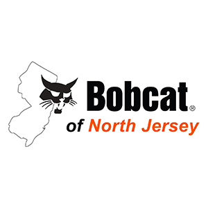 Bobcat
