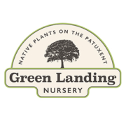 green landing nursery