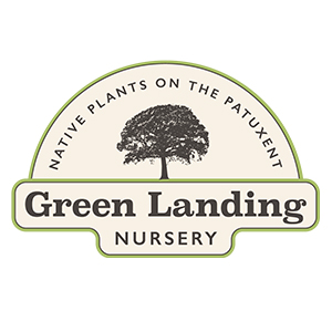 green landing nursery